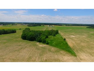 Property photo 6 - REAL ESTATE AUCTION - 26.61+/- ACRES IN NOBLE COUNTY, INDIANA